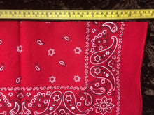 Load image into Gallery viewer, Red Paisley Hankerchief with black and white flower