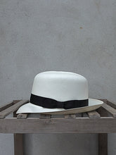 Load image into Gallery viewer, Brisa Folding Panama Hat