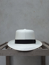 Load image into Gallery viewer, Brisa Folding Panama Hat