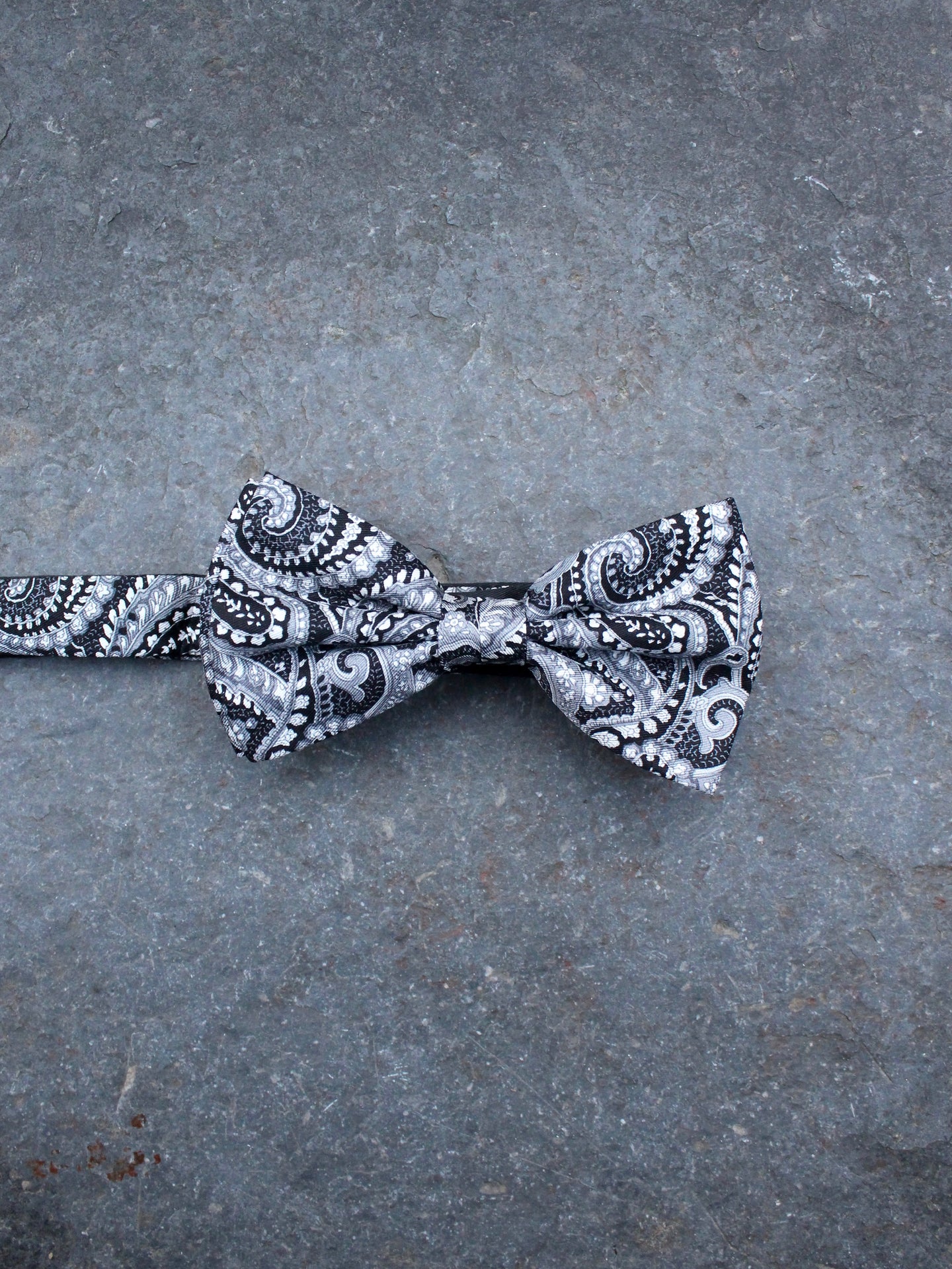 Paisley Bow Tie (Grey)